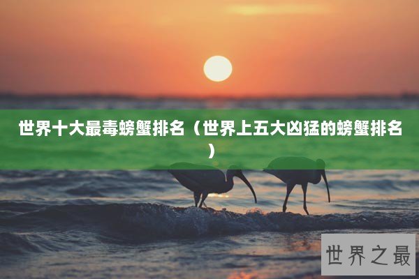 世界十大最毒螃蟹排名（世界上五大凶猛的螃蟹排名）