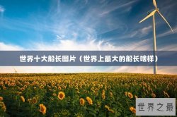 世界十大船长图片（世界上最大的船长啥样）