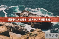 世界十大人机排名（世界十大人机排名榜）