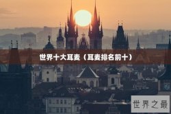 世界十大耳麦（耳麦排名前十）