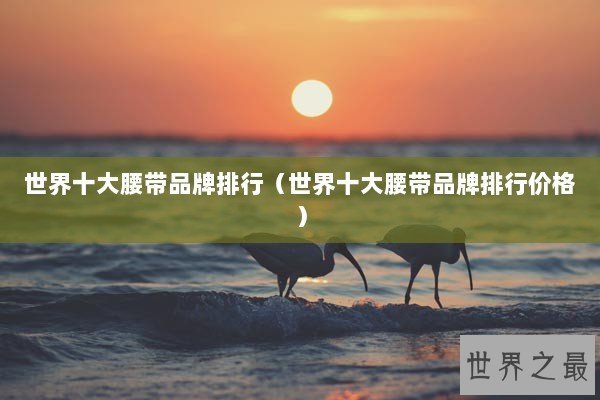 世界十大腰带品牌排行（世界十大腰带品牌排行价格）