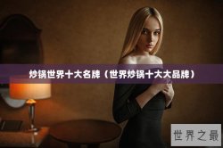 炒锅世界十大名牌（世界炒锅十大大品牌）