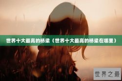 世界十大最高的桥梁（世界十大最高的桥梁在哪里）