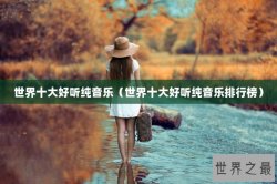 世界十大好听纯音乐（世界十大好听纯音乐排行榜）
