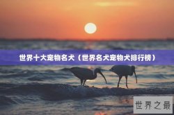 世界十大宠物名犬（世界名犬宠物犬排行榜）