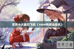 世界十大最烂飞机（3000吨级运输机）