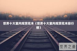 世界十大室内观赏花木（世界十大室内观赏花木排行榜）