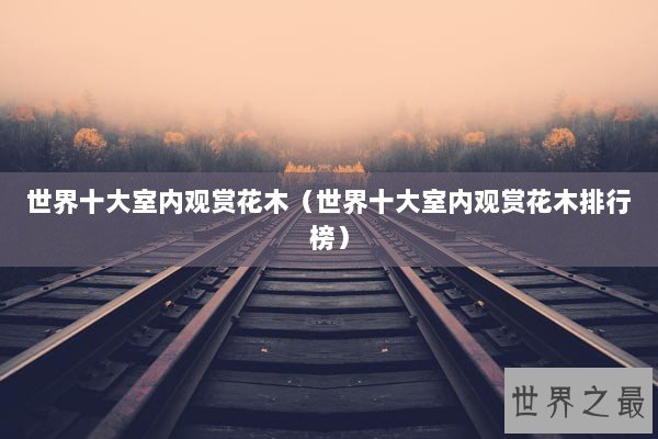 世界十大室内观赏花木（世界十大室内观赏花木排行榜）