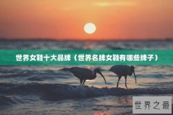 世界女鞋十大品牌（世界名牌女鞋有哪些牌子）