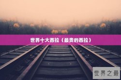 世界十大西拉（最贵的西拉）