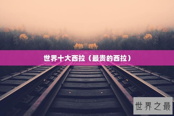 世界十大西拉(最贵的西拉) 世界十大西拉(最贵的西拉)