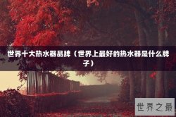 世界十大热水器品牌（世界上最好的热水器是什么牌子）