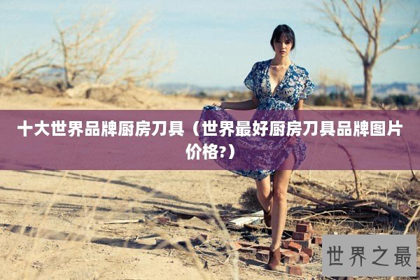 十大世界品牌厨房刀具（世界最好厨房刀具品牌图片价格?）