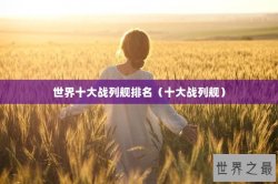 世界十大战列舰排名（十大战列舰）