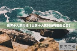 世界十大黑科技（世界十大黑科技有哪些公司）