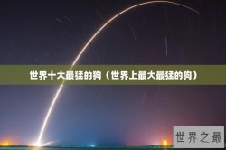 世界十大最猛的狗（世界上最大最猛的狗）