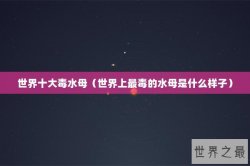 世界十大毒水母（世界上最毒的水母是什么样子）