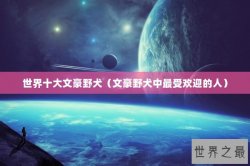 世界十大文豪野犬（文豪野犬中最受欢迎的人）
