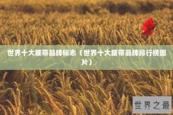 世界十大腰带品牌标志（世界十大腰带品牌排行榜图片）