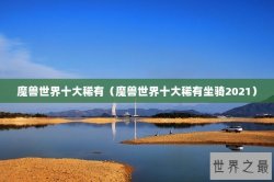 魔兽世界十大稀有（魔兽世界十大稀有坐骑2021）