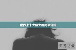 世界上十大猛犬的简单介绍