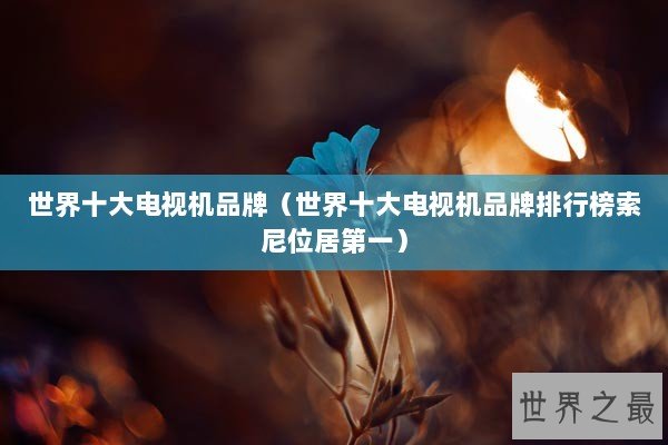 世界十大电视机品牌（世界十大电视机品牌排行榜索尼位居第一）