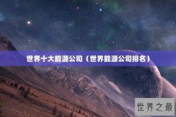 世界十大能源公司（世界能源公司排名）