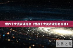 世界十大洗衣液排名（世界十大洗衣液排名品牌）