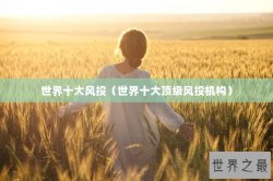 世界十大风投（世界十大顶级风投机构）