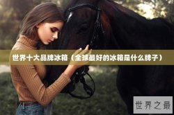 世界十大品牌冰箱（全球最好的冰箱是什么牌子）