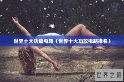 世界十大功放电路（世界十大功放电路排名）