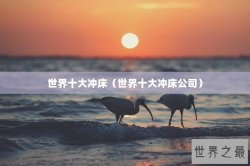 世界十大冲床（世界十大冲床公司）
