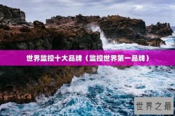 世界监控十大品牌（监控世界第一品牌）
