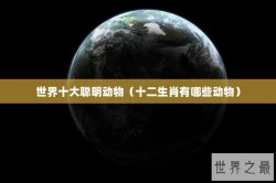 世界十大聪明动物（十二生肖有哪些动物）