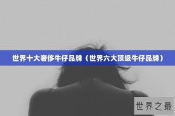 世界十大奢侈牛仔品牌（世界六大顶级牛仔品牌）