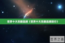 世界十大乐器品牌（世界十大乐器品牌排行）
