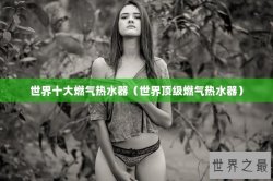 世界十大燃气热水器（世界顶级燃气热水器）