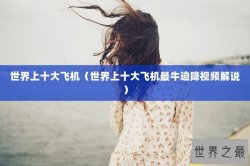世界上十大飞机（世界上十大飞机最牛迫降视频解说）