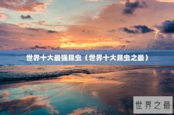 世界十大最强昆虫（世界十大昆虫之最）