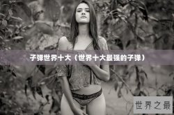 子弹世界十大（世界十大最强的子弹）