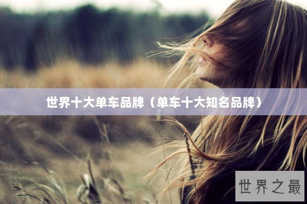 世界十大单车品牌（单车十大知名品牌）