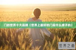 门的世界十大品牌（世界上最好的门是什么牌子的）