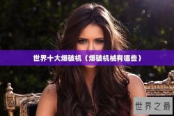 世界十大爆破机（爆破机械有哪些）