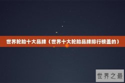 世界轮胎十大品牌（世界十大轮胎品牌排行榜盖的）