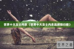 世界十大女士内衣（世界十大女士内衣品牌排行榜）