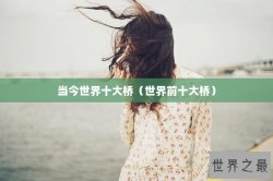 当今世界十大桥（世界前十大桥）