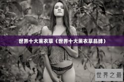 世界十大薰衣草（世界十大薰衣草品牌）
