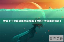世界上十大最凄美的花故事（世界十大凄美花传说）