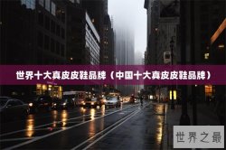 世界十大真皮皮鞋品牌（中国十大真皮皮鞋品牌）