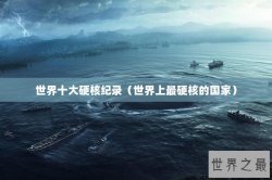 世界十大硬核纪录（世界上最硬核的国家）